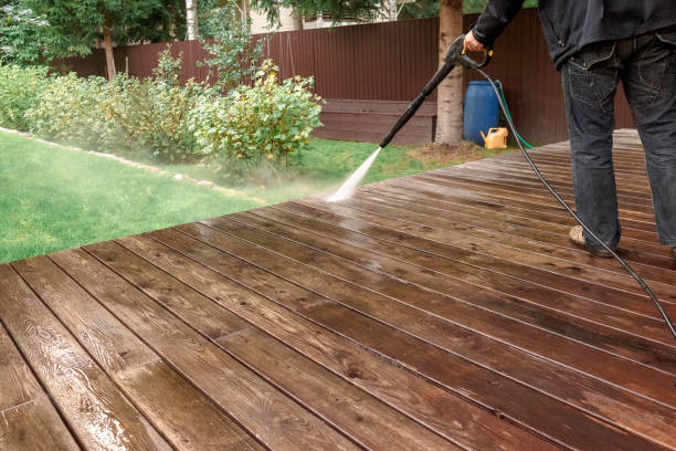 Best Roof Cleaning and Mildew Removal in Bushland, TX