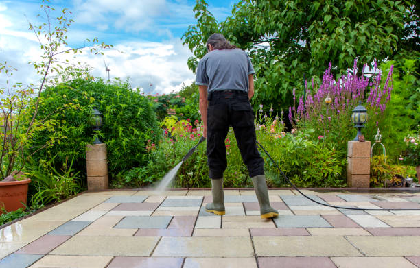 Best Soft Washing for Delicate Surfaces in Bushland, TX