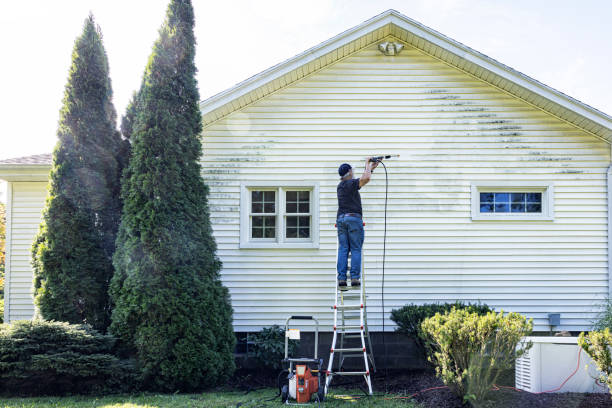 Best Residential Pressure Washing in Bushland, TX